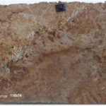 Juparana Bronze Granite